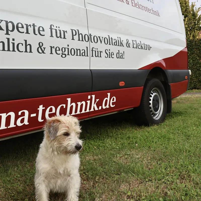 Lotti – Werkstatt- und Bürohund bei NATechnik